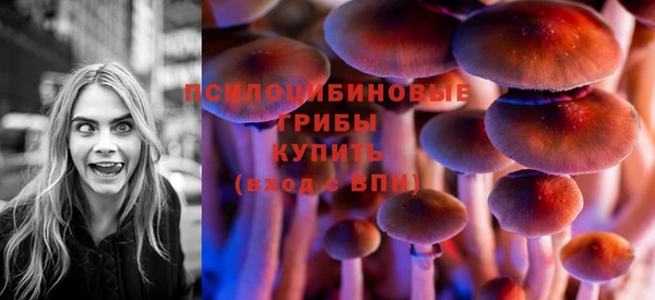 гидропоника Арсеньев
