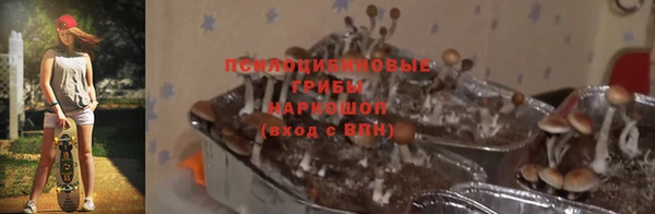 гидропоника Арсеньев