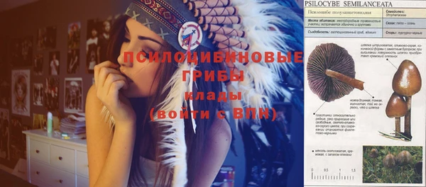 гидропоника Арсеньев